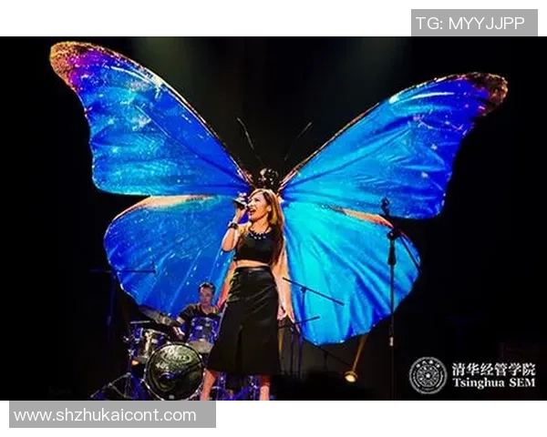 北京街舞队员个人能力分析与发展潜力研究MBA