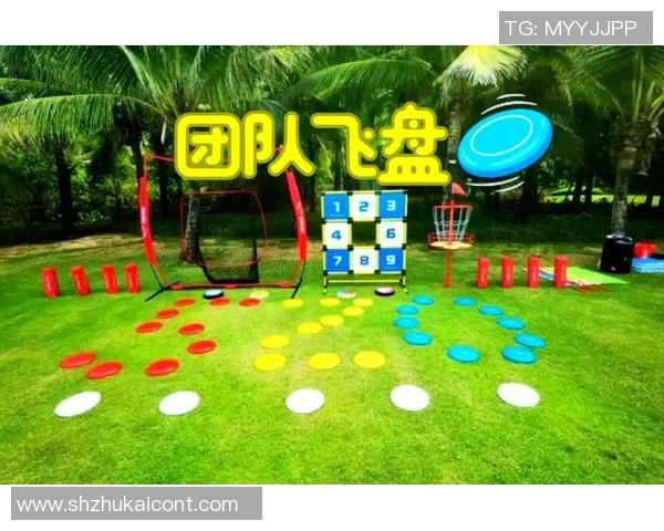 飞盘热潮来袭：深入了解北京飞盘队的训练与比赛节奏MBA