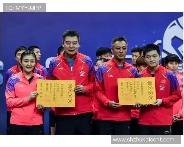 深圳乒乓球队配合策略深度解析与对比分析