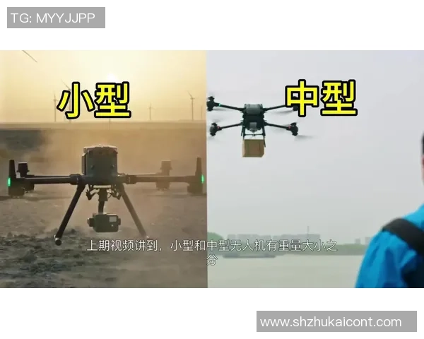 轻量级与重量级的全面对比探讨适合不同需求的选择与应用