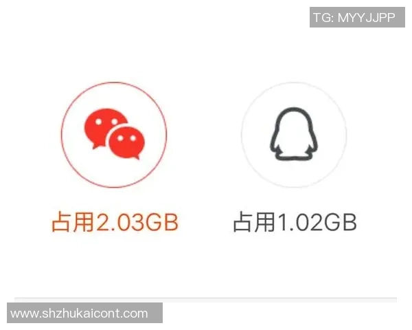 深入探讨Instagram平台的速度表现与用户体验之间的关系分析