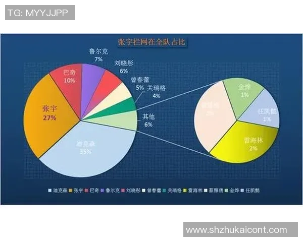 武汉排球队总决赛战术解析与表现评估全面分析